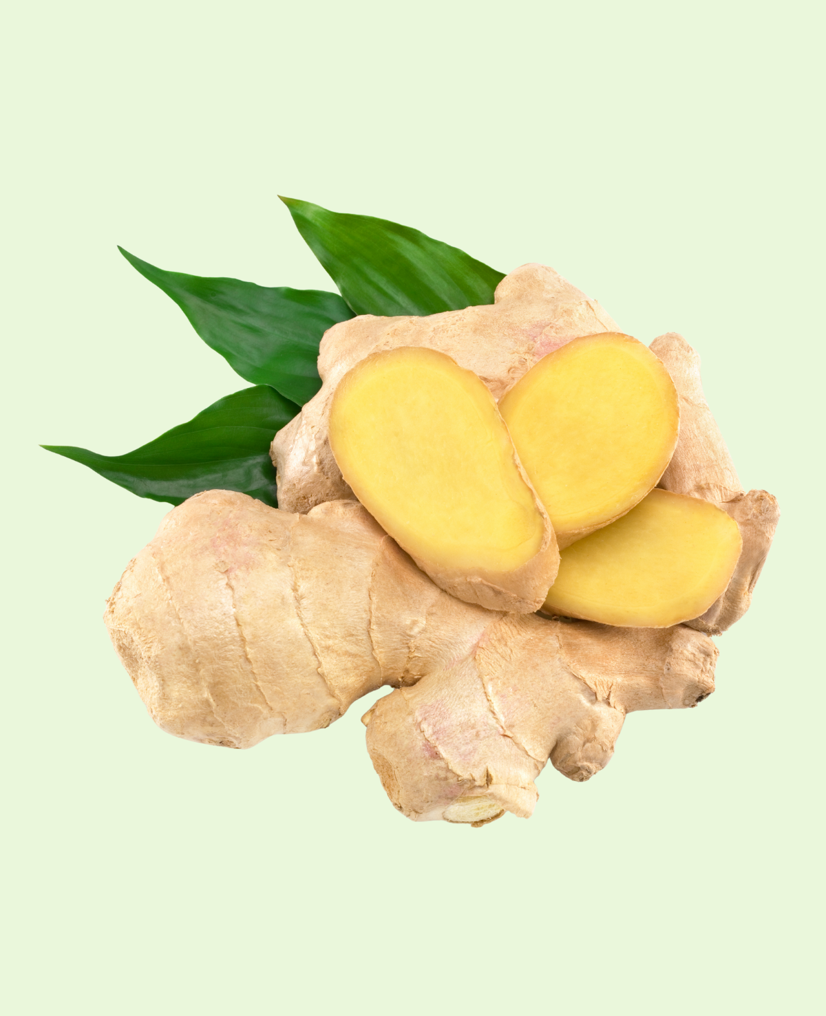 Ginger