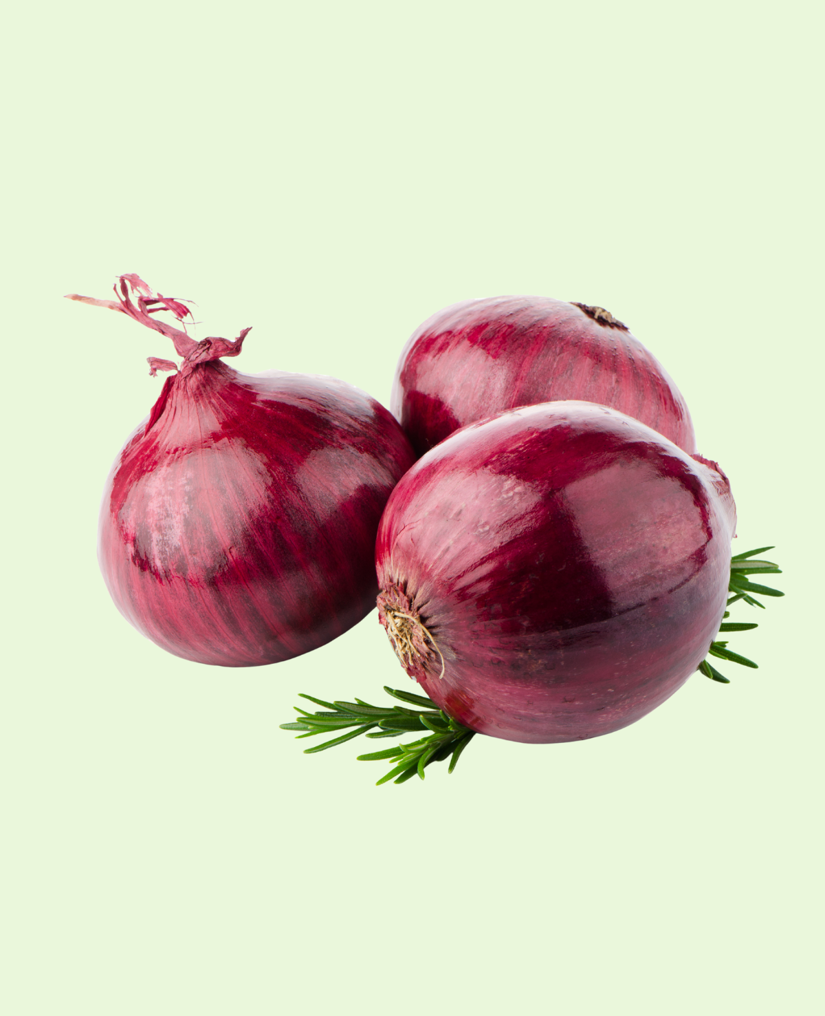 Onion