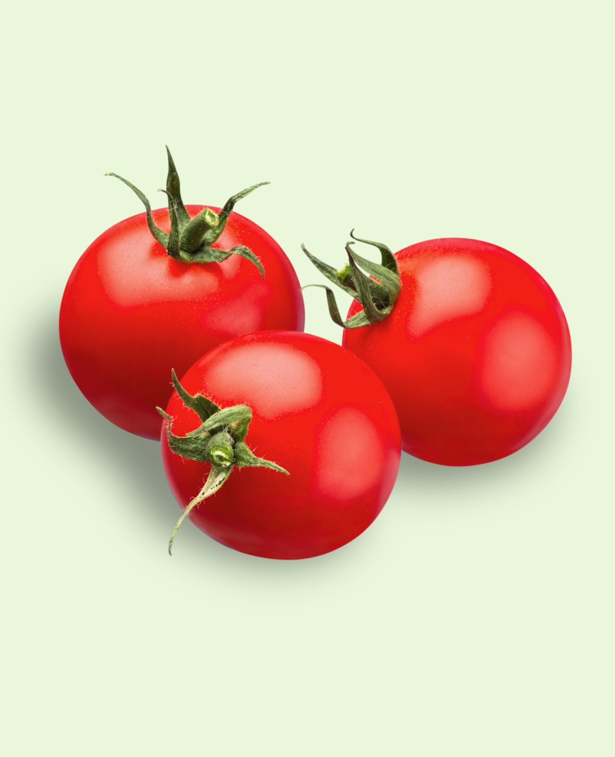 Tomato